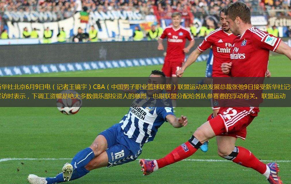 疑是对他优