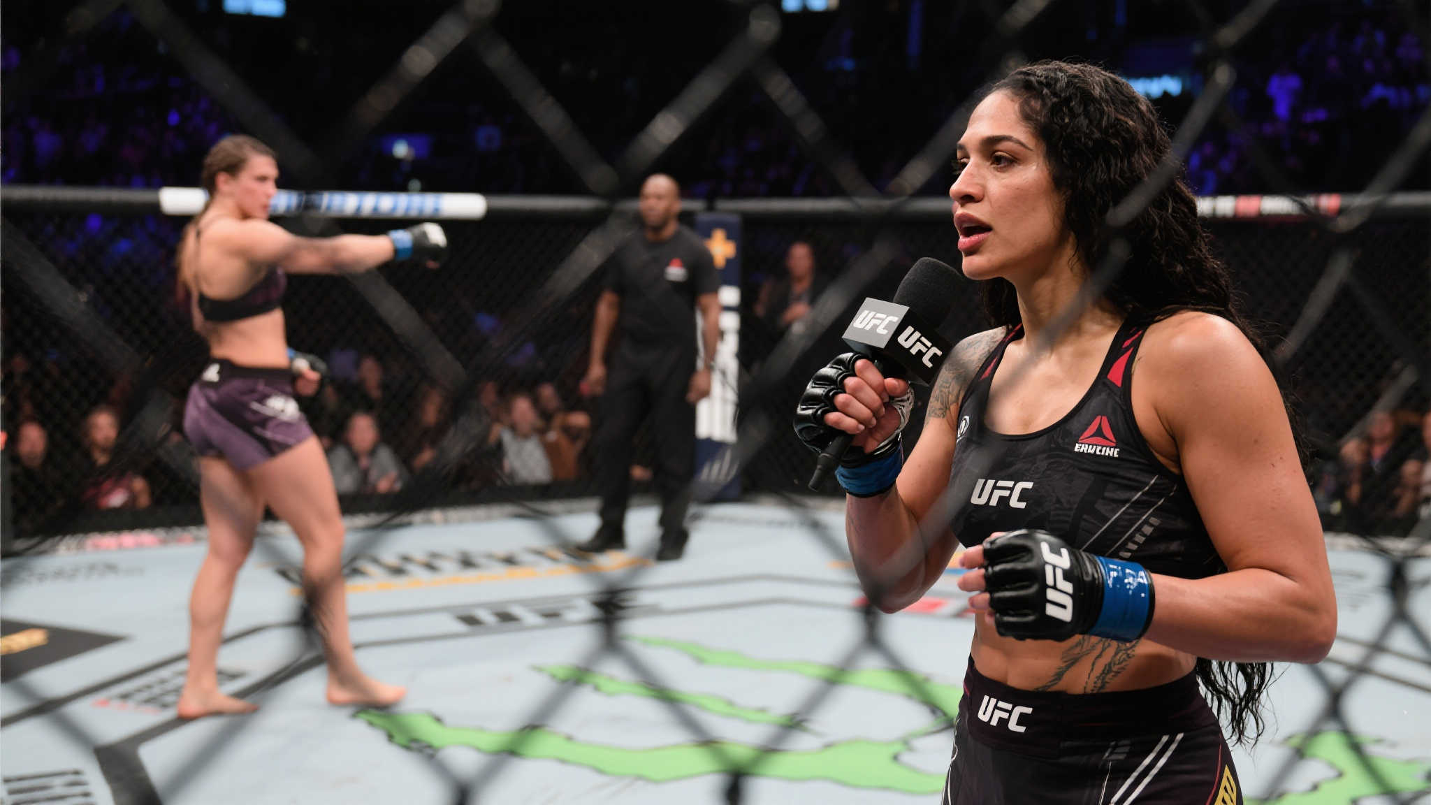 的稳定性 的稳定性